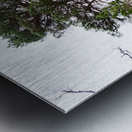 Scenes from the Trail- Rock Hard Pine                                                                                                                       Metal print