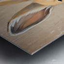 The Rabbit with a Carrot Metal print