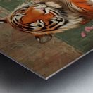 Tigers Relaxation in the Bathtub Metal print