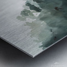 Rooted in Land and Sea Metal print