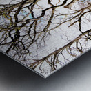  Fairies Labyrinth in the Scottish Highlands                                                                                                                     Metal print