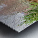 Aprils Spring Walk Through the Scottish Highlands                                                                                                                      Metal print