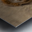 Couleur de feu Metal print