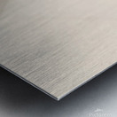 Dynamic Forms in Experimental Metal print