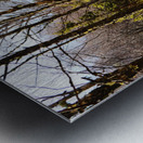 Spring Joy in the Forest                                                                                                                      Metal print