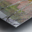  Natures Spring Song for the Scottish Highlands                                                                                                                    Metal print