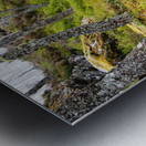    Spring Nature Path Through The Scottish Highlands                                                                                                                    Metal print