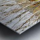  Scottish Highlands Spring Birch Trees                                                                                                                     Metal print