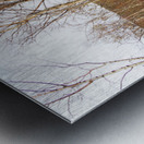  Spring Nature Landscape in the Scottish Highlands                                                                                                                     Metal print