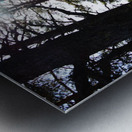  Dark Forest Sun in the Scottish Highlands                                                                                                                     Metal print