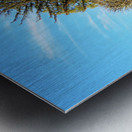 Scottish Highlands Spring Trees                                                                                                                      Metal print