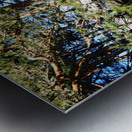  Scottish Highlands in the Spring                                                                                                                     Metal print