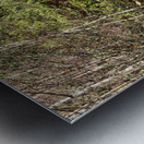 Springs Path Through the Scottish Highlands                                                                                                                      Metal print