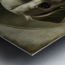 LABRADOR RETRIEVER Metal print