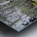  Spring Hike Through the Scottish Highlands                                                                                                                     Metal print