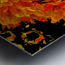 Abstract Orange and Yellow Chrysanthemums  Metal print