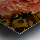 Impressionistic Pink Chrysanthemums  Metal print