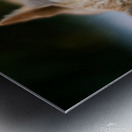 Last Summer Cat Metal print