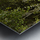 Scottish Highlands Summer Trail Metal print