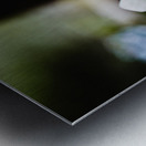 Soft Spoken Metal print