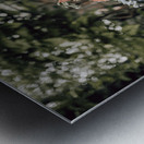 Forgotten Florals Metal print