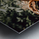 Rusted Grace Metal print