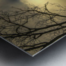 Virginia Barn Survivor Metal print