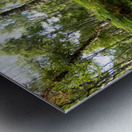 Scottish Highlands Forest View Metal print