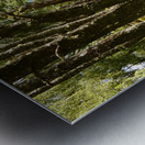 Sunlight Path Through the Scottish Highlands Metal print