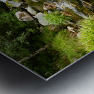 Summer River in the Scottish Highlands Metal print