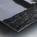 DSC 3874 Metal print