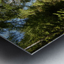 Summer Forest Path Through the Scottish Highlands Metal print