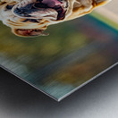 BORN TO SKATE III Metal print