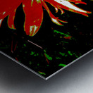Abstract Red Daisy Metal print