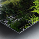 Scenes from the Trail- Morning in the Scottish Highlands                                                                                                                      Metal print