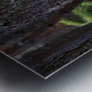  Running the Scottish Highlands Trail                                                                                                Metal print