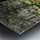 Pine Forest Trail in the Scottish Highlands                                                                                                                      Metal print