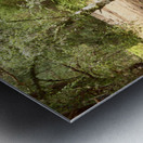 Scottish Highlands Spring Woodland Path Metal print