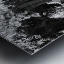 Pine Tree in Black and White Metal print