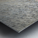 The Photo Album Metal print