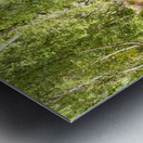 Summer in the Scottish Highlands Metal print