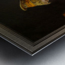 Girl from the Wachau at her Toilette by Hans Hamza Metal print