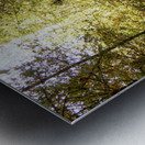 Golden Autumn Light in the Scottish Highlands Metal print