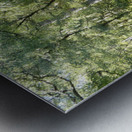 Natures Peaceful Walk Through The Scottish Highlands Metal print