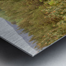 Scottish Highlands Lochan View Metal print