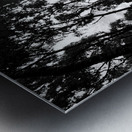 Impressionistic Dark Forest Metal print