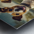 JACKS ARE WILD Metal print