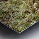 Sunlights Singing Pine Tree in the Scottish Highlands Metal print