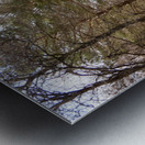 Winters Path Through The Scottish Highlands Metal print