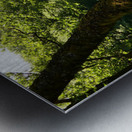 Summer in the Scottish Highlands Metal print